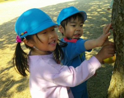 Digital Camera