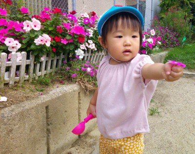 Digital Camera