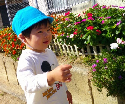 Digital Camera