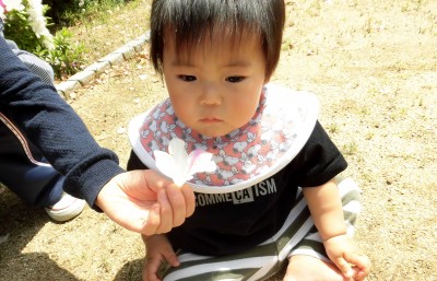 CIMG5404_edited