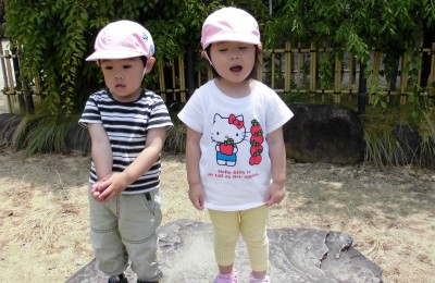 CIMG0305_edited