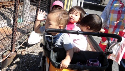 CIMG7531_edited