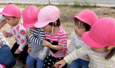 CIMG7562_edited