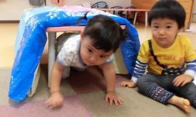 CIMG7693_edited