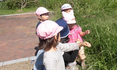 CIMG7866_edited
