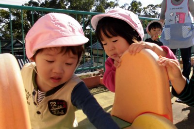 CIMG5281_edited