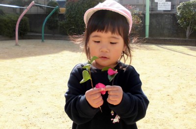 CIMG5838_edited
