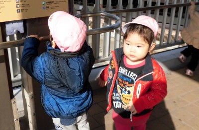 CIMG8799_edited