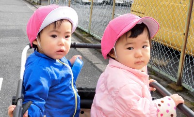 CIMG8981_edited