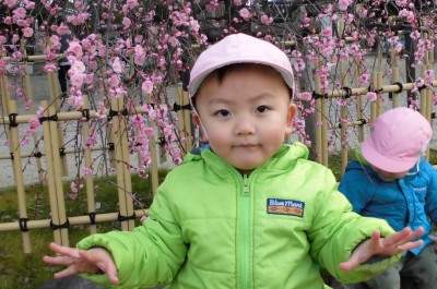 CIMG2622_edited
