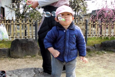 CIMG2686_edited
