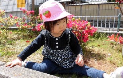 CIMG0601_edited