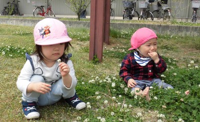 CIMG0782_edited