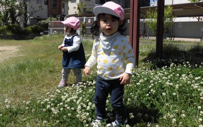 CIMG0908_edited