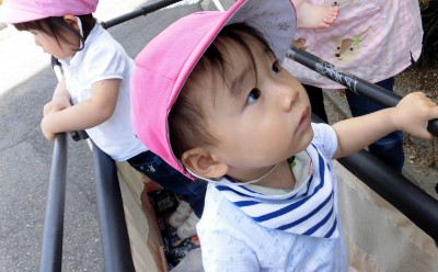 CIMG1532_edited