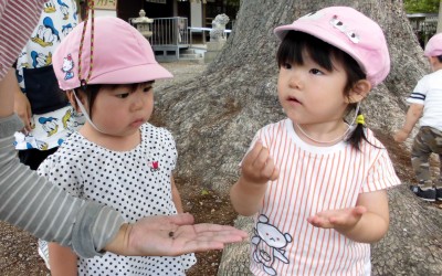 CIMG6162_edited-1