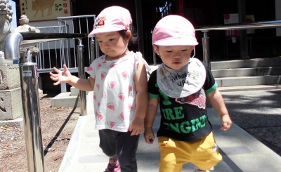 CIMG6223_edited