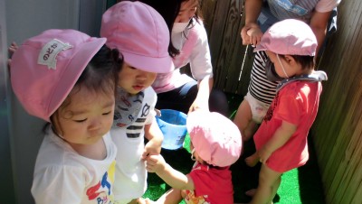 CIMG6605_edited