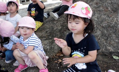 CIMG7731_edited