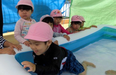 CIMG8704_edited