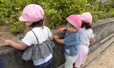 CIMG3140_edited