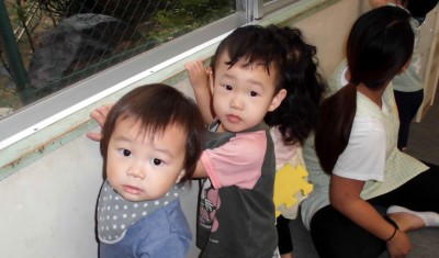 CIMG0138_edited