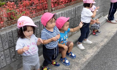 CIMG3320_edited