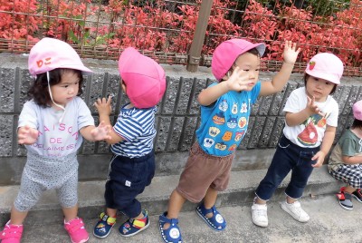 CIMG3321_edited