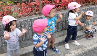 CIMG3323_edited