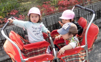 CIMG3775_edited