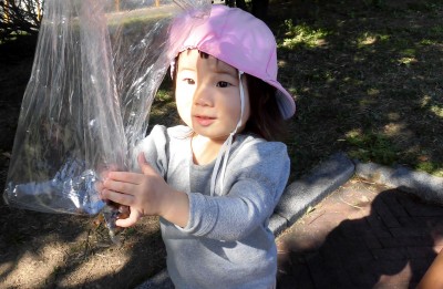 CIMG3852_edited