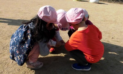 CIMG3776_edited