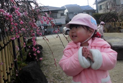 CIMG4691_edited