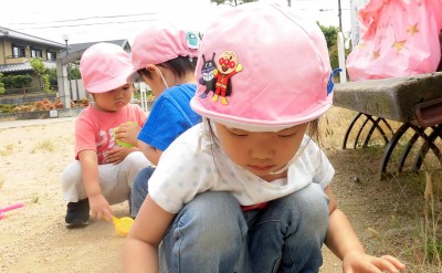 CIMG5784_edited