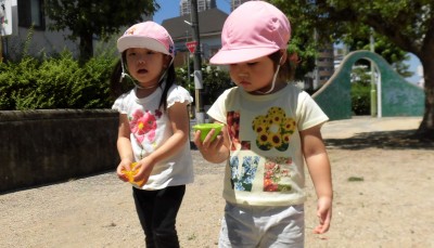 CIMG6074_edited