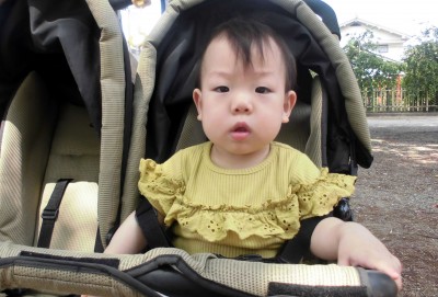 CIMG6169_edited