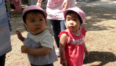 CIMG6177_edited