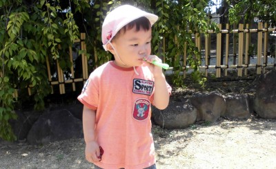 CIMG6579_edited