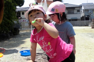 CIMG6581_edited