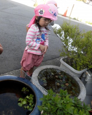 CIMG8142_edited