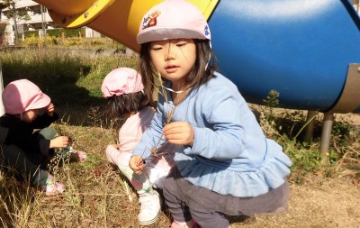 CIMG8508_edited