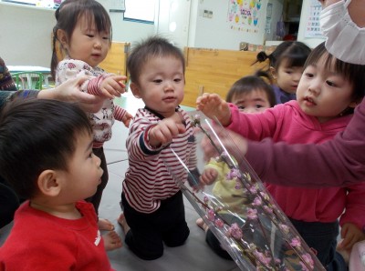 DSCN1220_edited