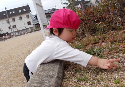 DSCN1355_edited