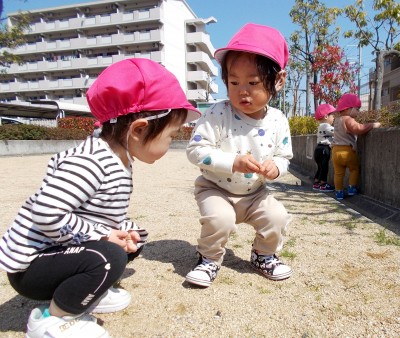 DSCN1425_edited