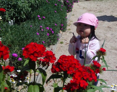 IMG_0049_edited