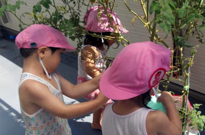IMG_0052_edited
