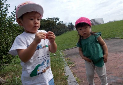 DSCN2811_edited