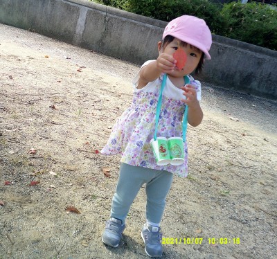 Digital Camera