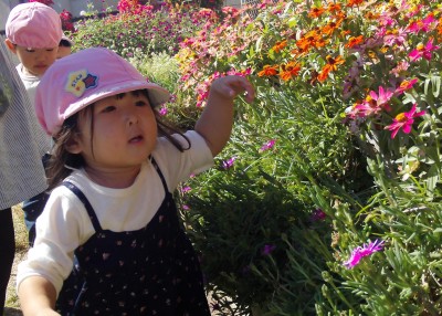 IMG_0028_edited