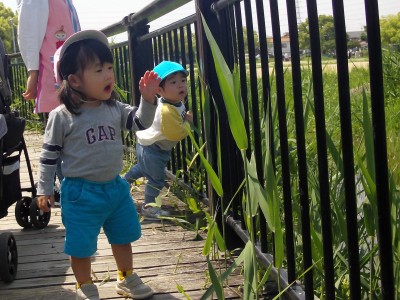 IMG_0008_edited